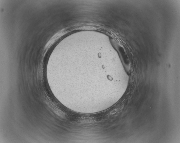 X0000081560296200702051156