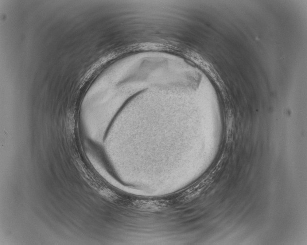 X0000081560297200702051156