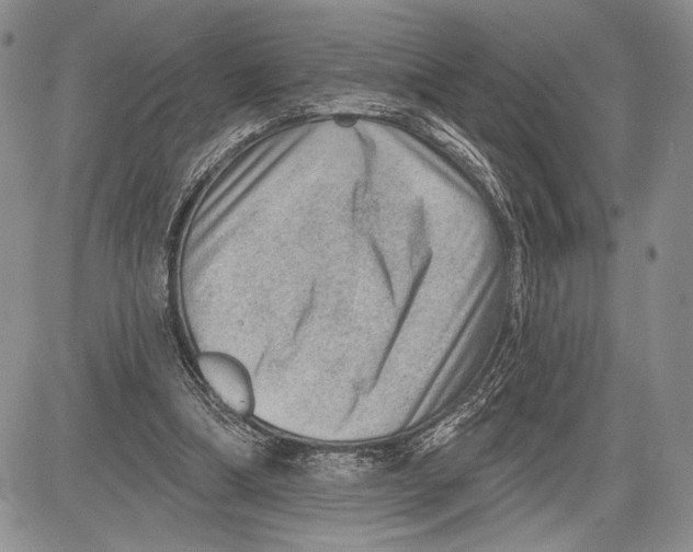 X0000081560298200702051156