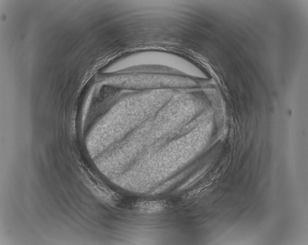 X0000081560299200702051156