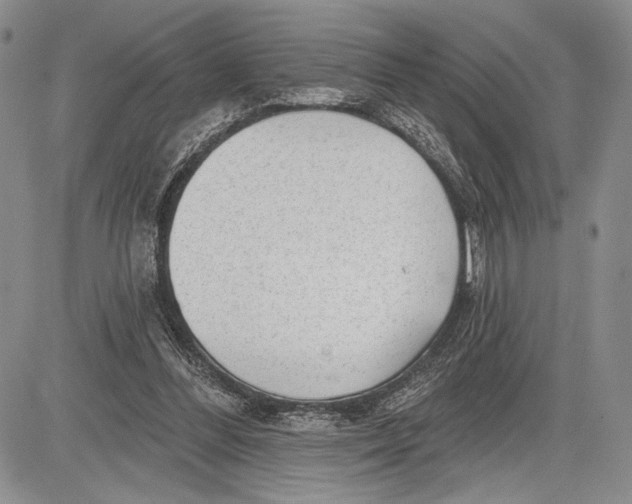 X0000081560300200702051156