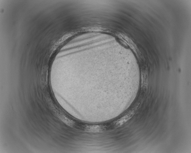 X0000081560301200702051156