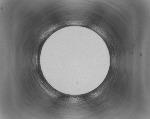 X0000081560302200702051156