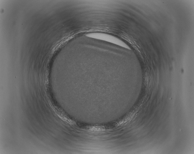 X0000081560303200702051156