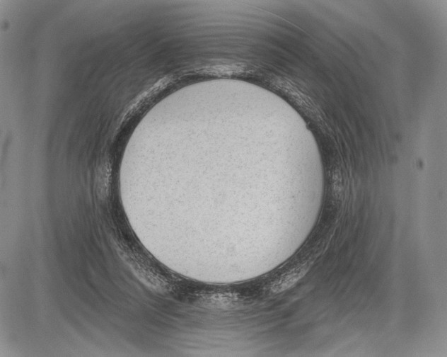 X0000081560304200702051156