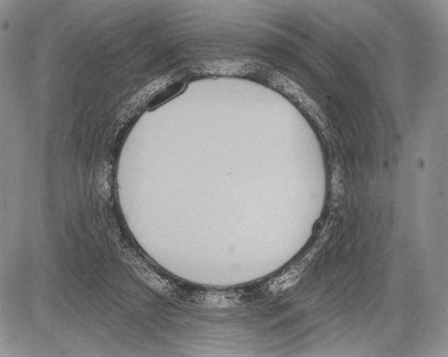 X0000081560305200702051156