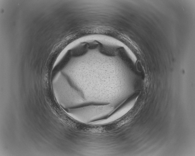 X0000081560306200702051156