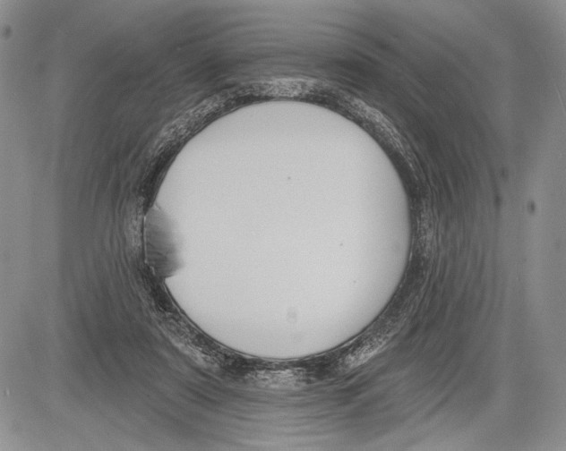 X0000081560307200702051156