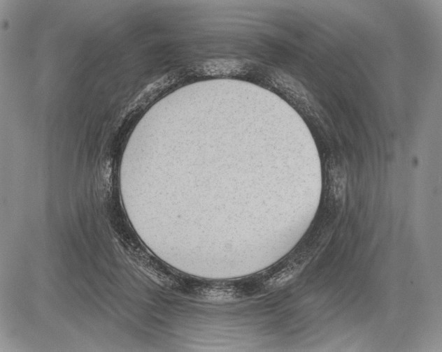 X0000081560308200702051156