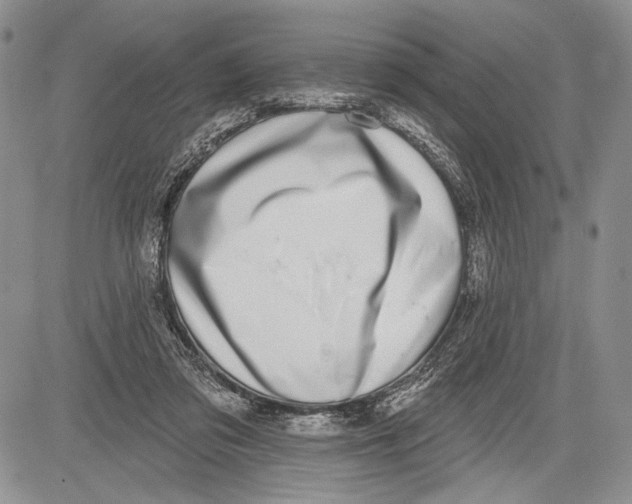 X0000081560309200702051156