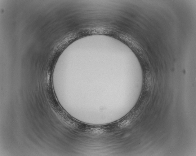 X0000081560310200702051156