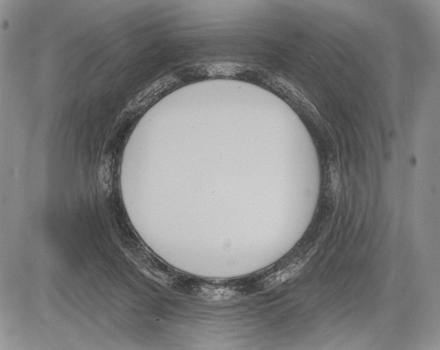 X0000081560311200702051156