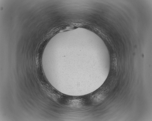 X0000081560312200702051156