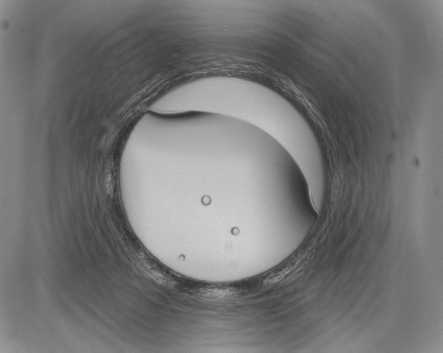 X0000081560313200702051156