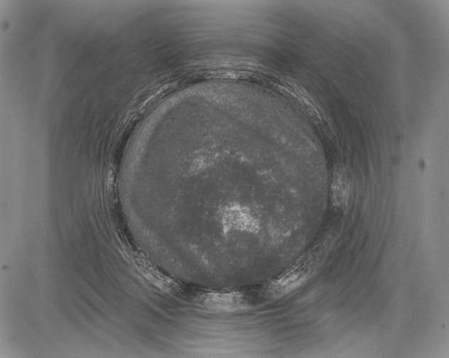 X0000081560314200702051156