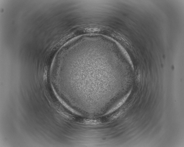 X0000081560315200702051156