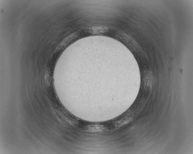 X0000081560316200702051156