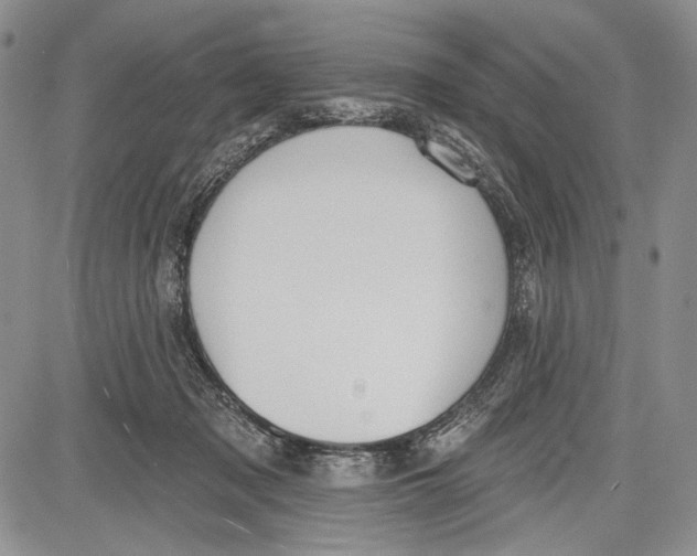 X0000081560317200702051156