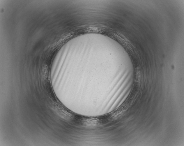 X0000081560318200702051156