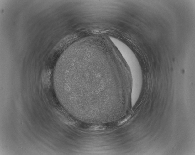 X0000081560319200702051156