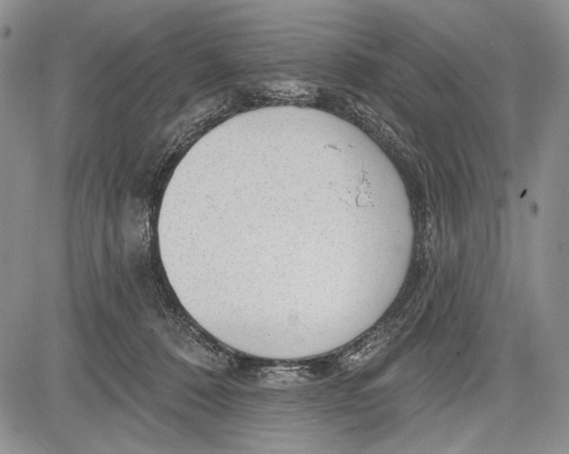 X0000081560320200702051155