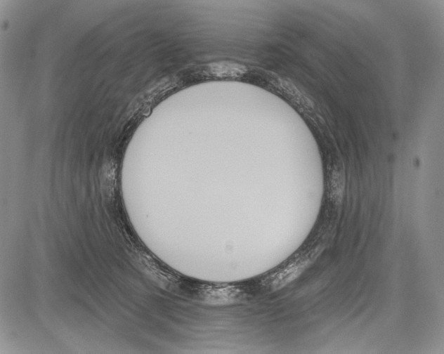 X0000081560321200702051155