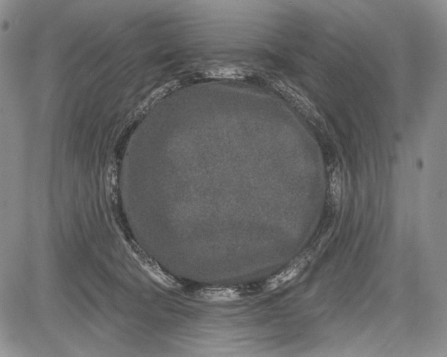 X0000081560322200702051155