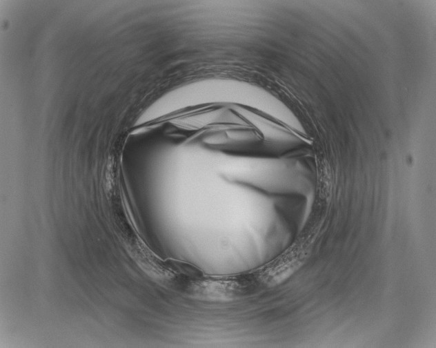 X0000081560323200702051155