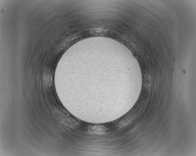 X0000081560324200702051155