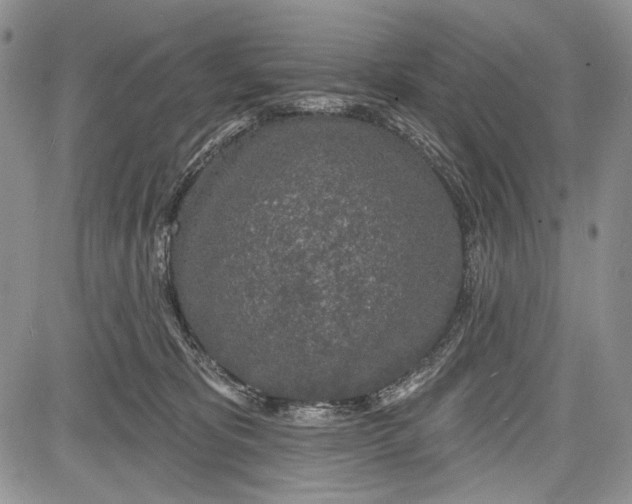 X0000081560325200702051155