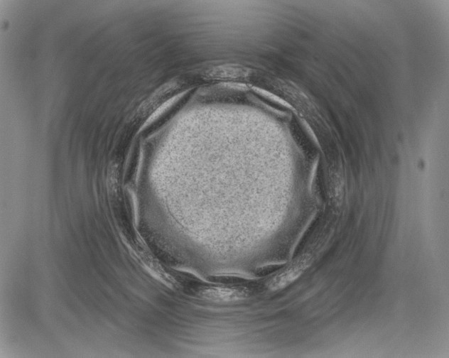 X0000081560326200702051155