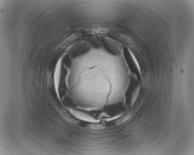 X0000081560327200702051155