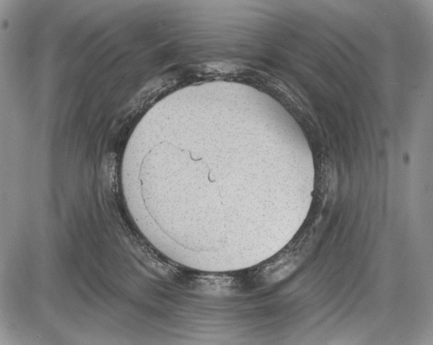 X0000081560328200702051155