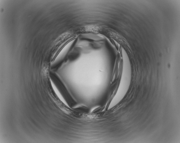 X0000081560329200702051155