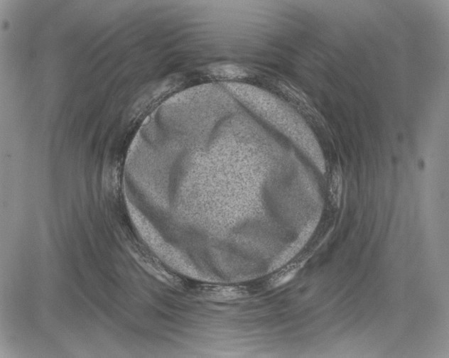 X0000081560330200702051155