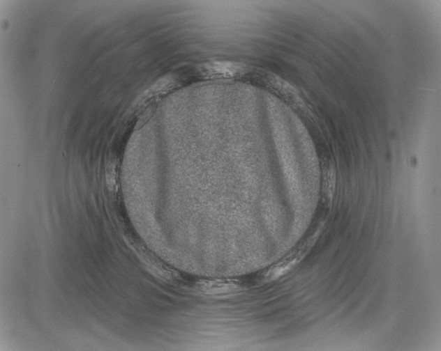 X0000081560331200702051155