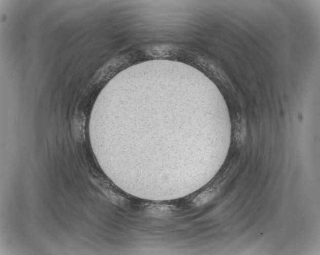 X0000081560332200702051155