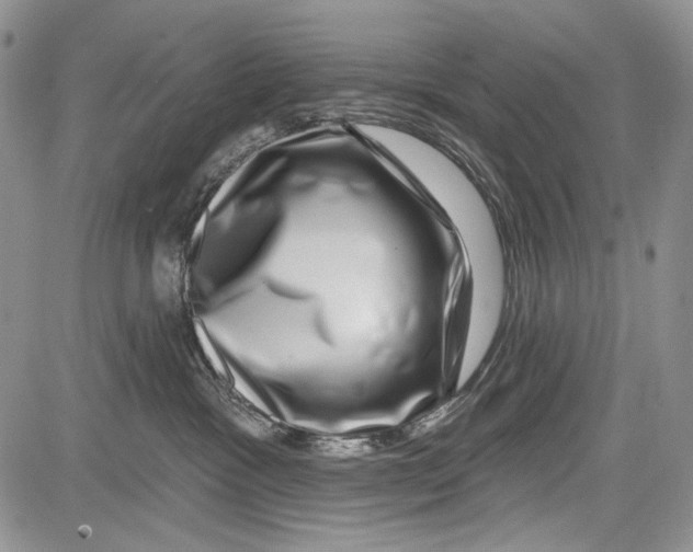 X0000081560333200702051155