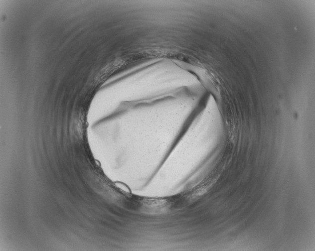 X0000081560334200702051155