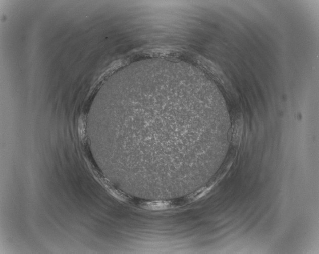 X0000081560335200702051155