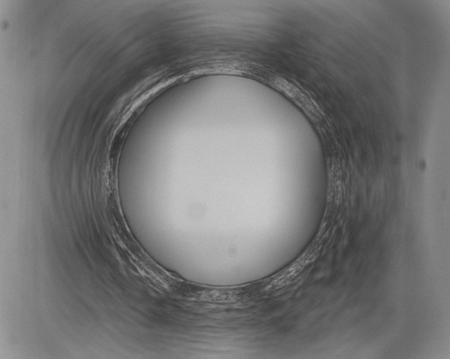 X0000081560338200702051154