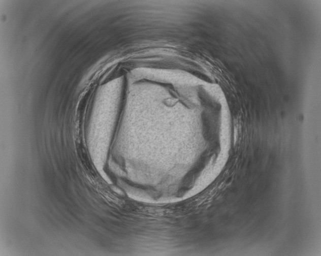 X0000081560339200702051154