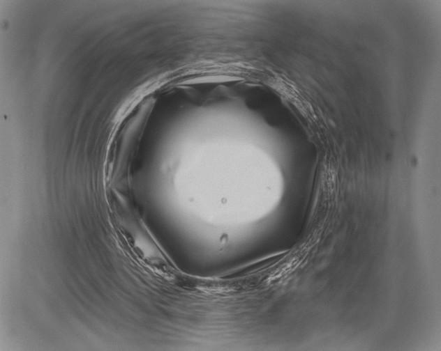 X0000081560340200702051155