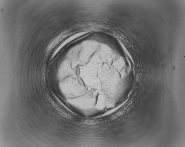 X0000081560341200702051155