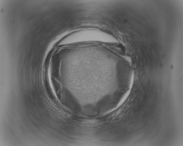 X0000081560342200702051155