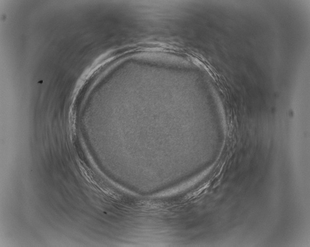 X0000081560343200702051155