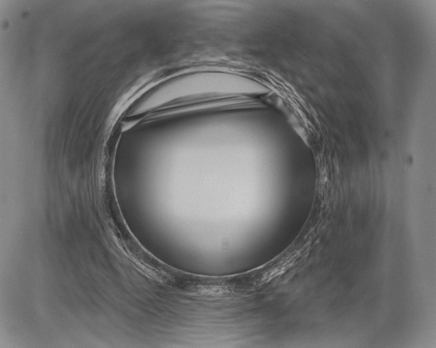 X0000081560344200702051155