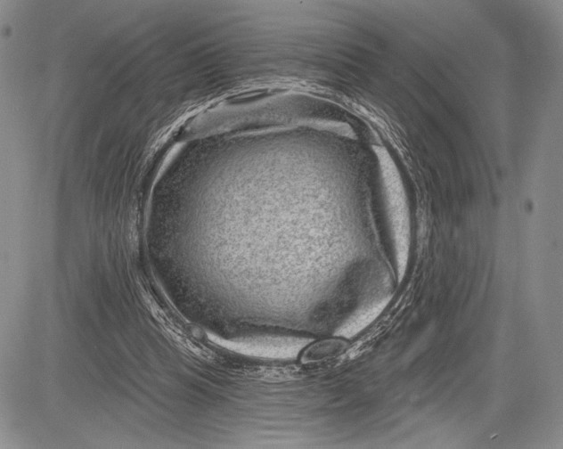 X0000081560345200702051155