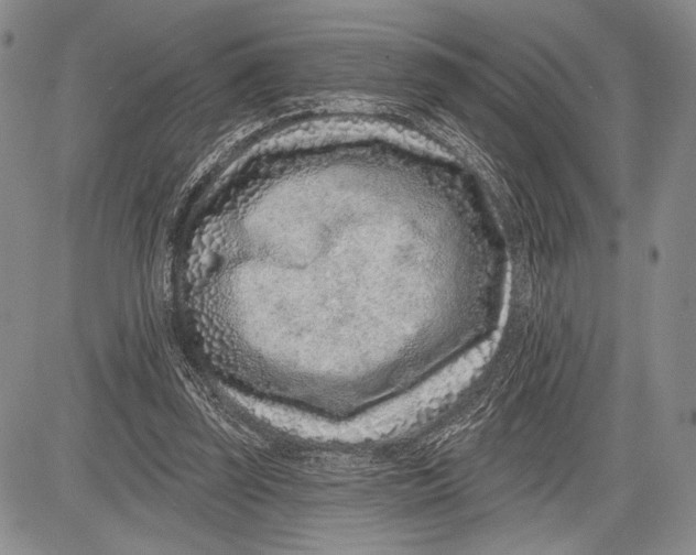 X0000081560347200702051155