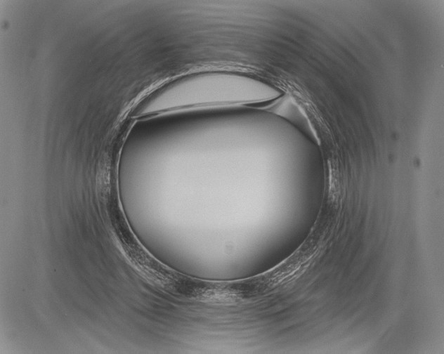 X0000081560348200702051155